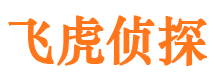 珠山侦探